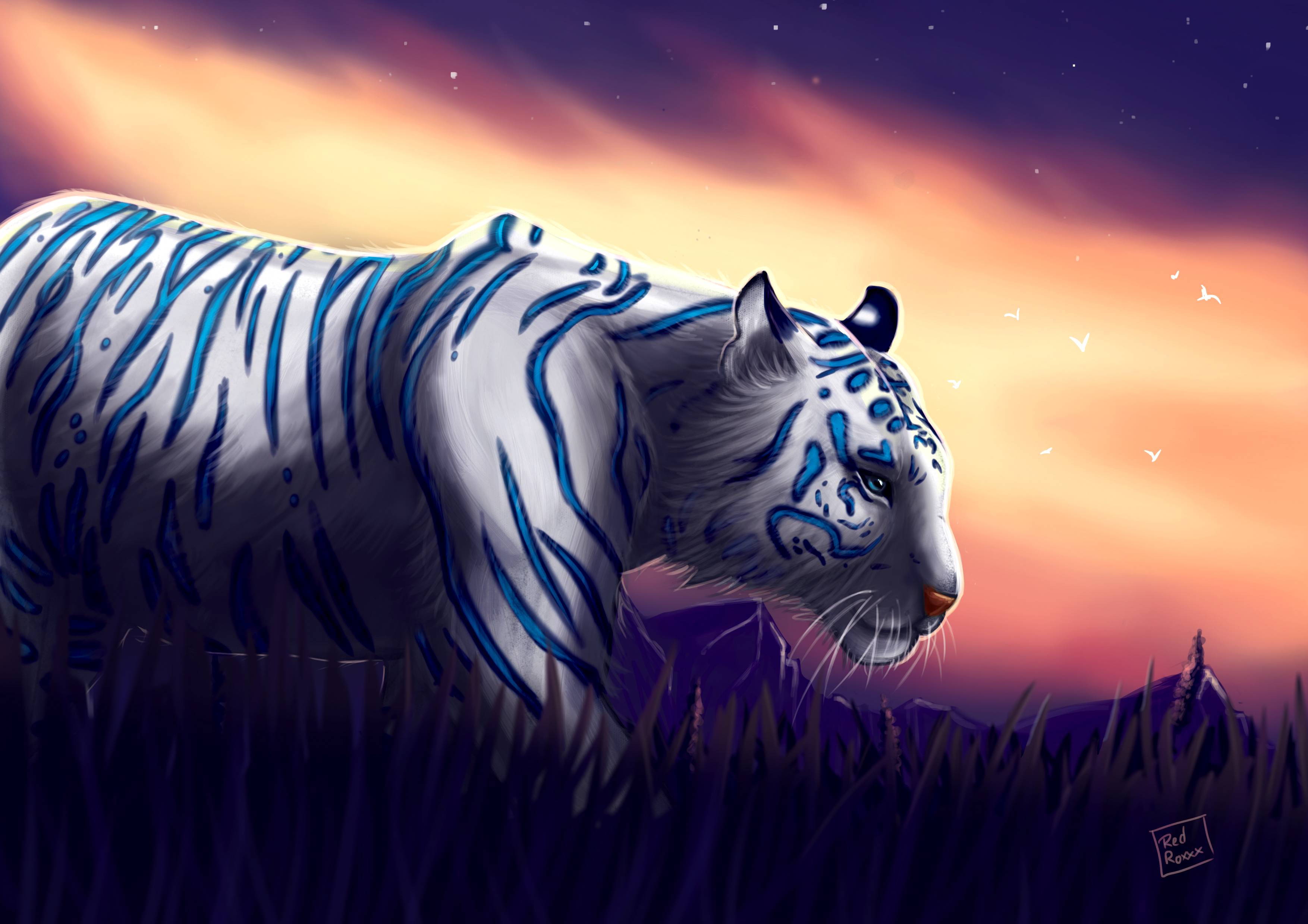 Blue Tiger Redroxxx Online Store Powered By Storenvy