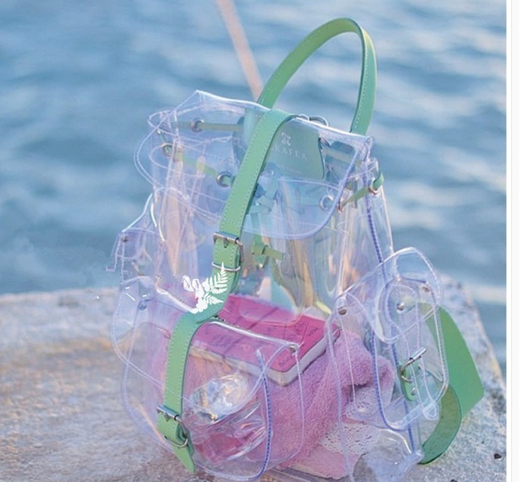 cute see through backpacks